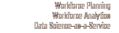 Workforce Planning and Analytics Services Text